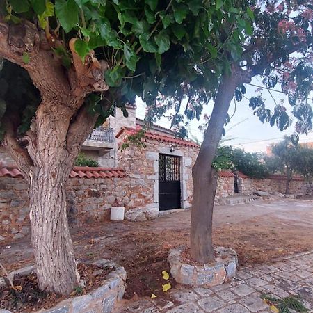 200 Year Old 'Kamara Suite' With Private Garden Pírgos Dhiroú Exteriér fotografie