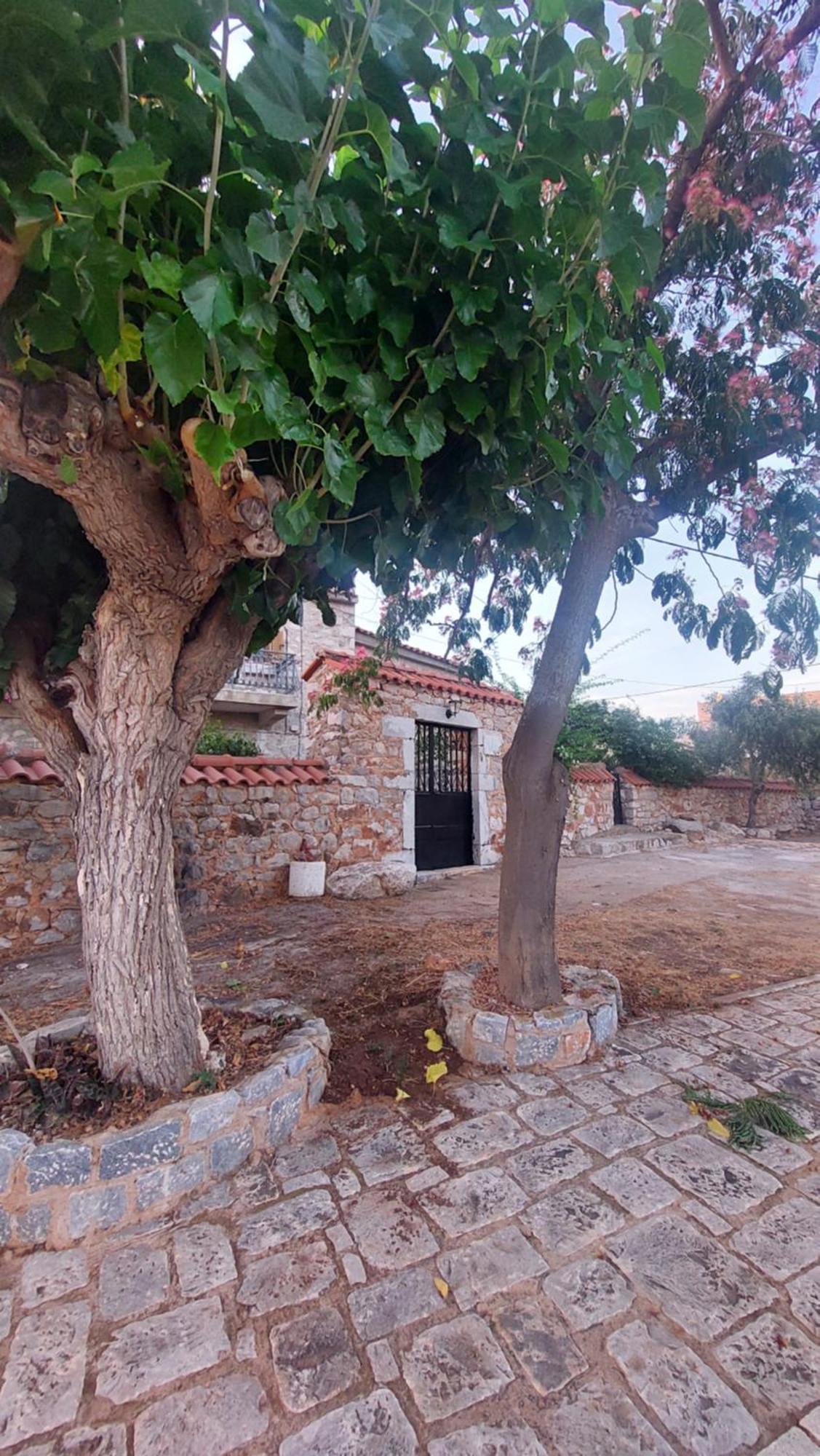 200 Year Old 'Kamara Suite' With Private Garden Pírgos Dhiroú Exteriér fotografie